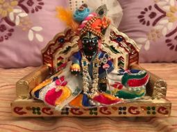Painted Brass Laddu Gopal Murti 4.0"